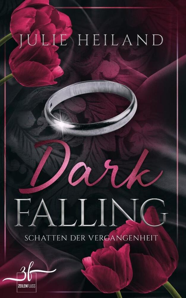 Dark Falling - Schatten der Vergangenheit #01