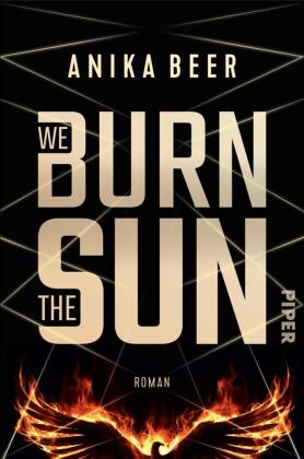 We burn the Sun